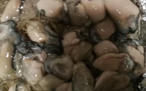 猫屎瓜怎么吃才好吃呢视频,解锁独特风味烹饪秘诀