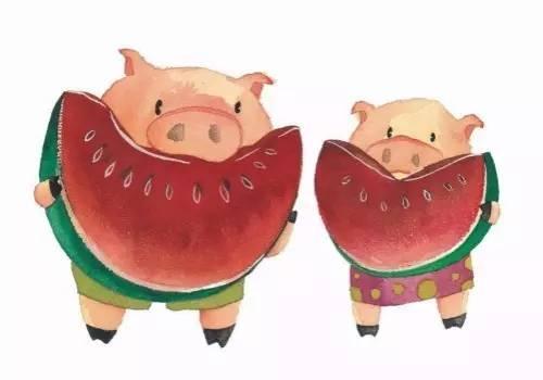 小猪猪吃瓜条的视频,萌态十足引网友爆笑