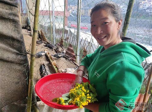 云南傈僳小伙吃瓜视频播放,瓜香四溢，民俗风情浓