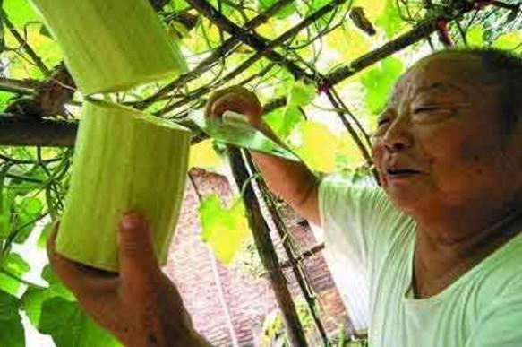 老大爷砍瓜吃瓜视频播放,网友直呼过瘾！