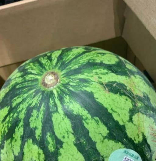 吃瓜质疑真假视频,揭秘吃瓜群众质疑真假视频的真相追踪